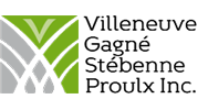 Villeneuve Gagn&eacute; St&eacute;benne Proulx Inc.